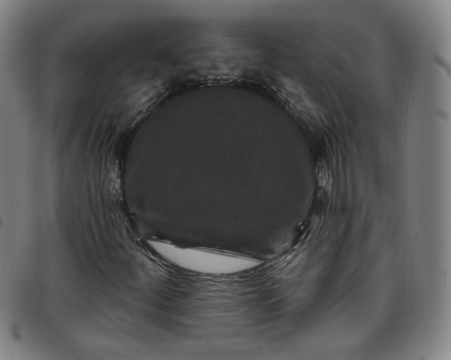 X0000097511252200803071817