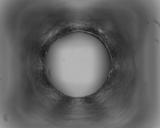 X0000097511253200803071817