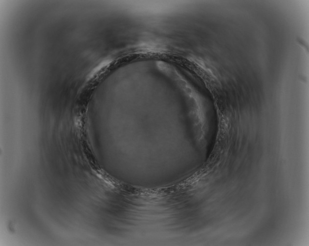 X0000097511254200803071816