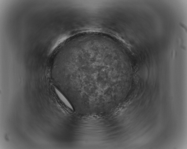 X0000097511255200803071816