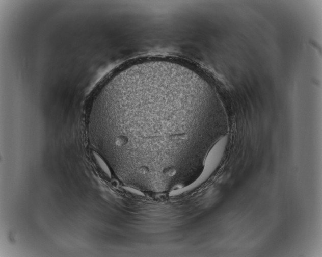 X0000097511256200803071816