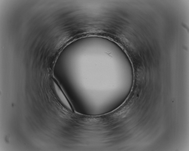 X0000097511257200803071816