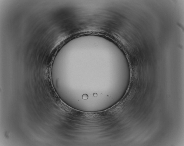 X0000097511258200803071816