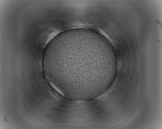 X0000097511259200803071816