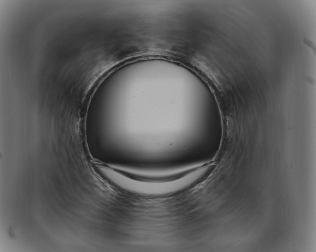 X0000097511260200803071816