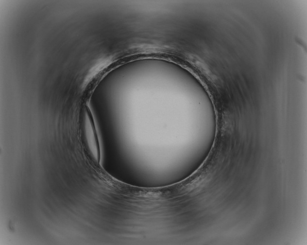 X0000097511261200803071816