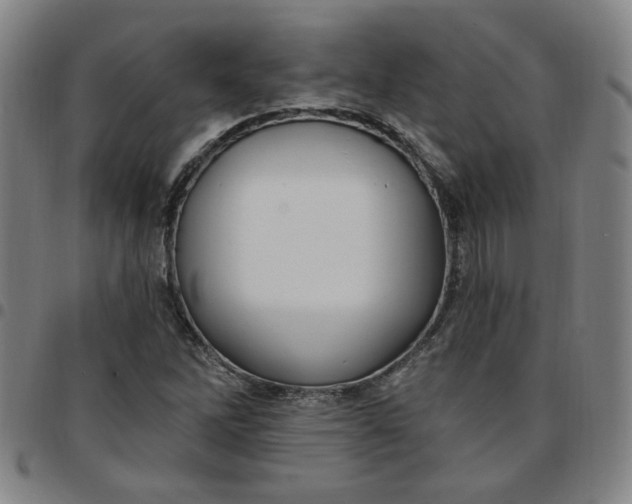 X0000097511262200803071816