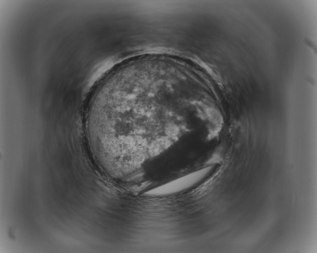 X0000097511263200803071816