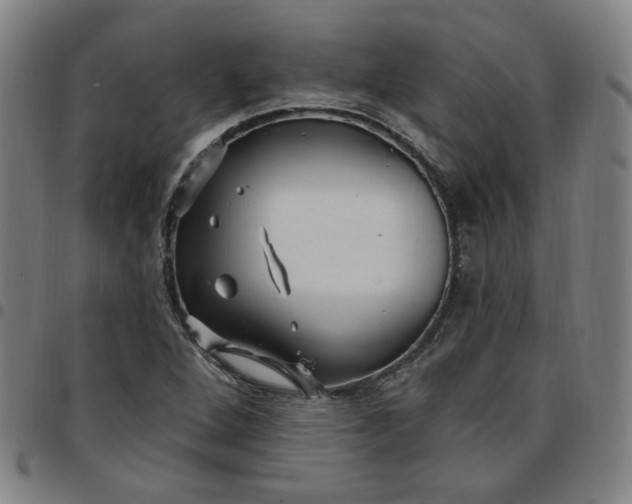 X0000097511264200803071816