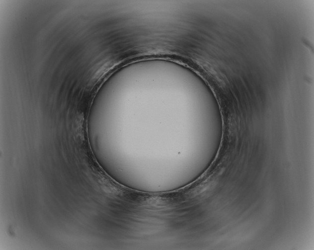 X0000097511265200803071816