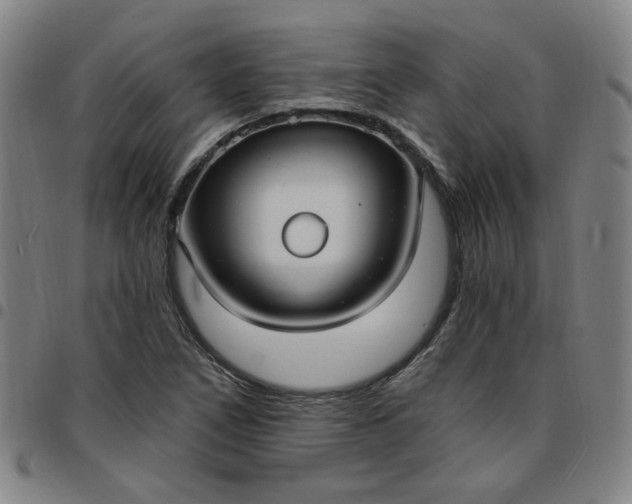 X0000097511266200803071816