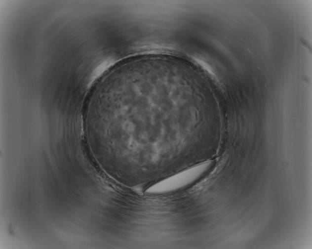 X0000097511267200803071816