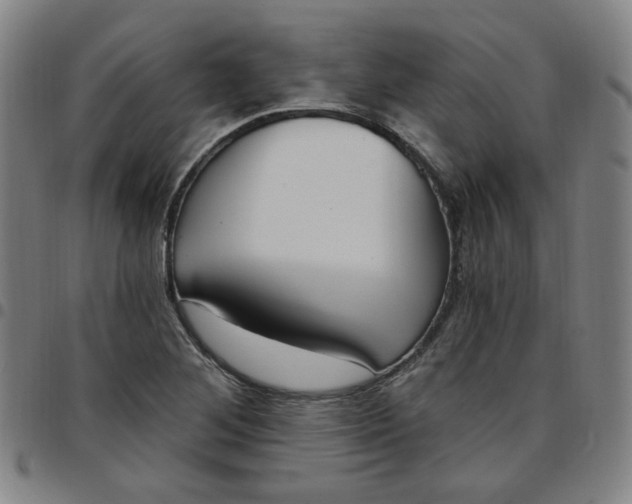 X0000097511268200803071816