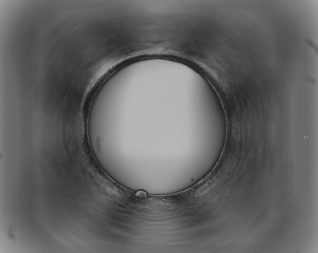 X0000097511270200803071816