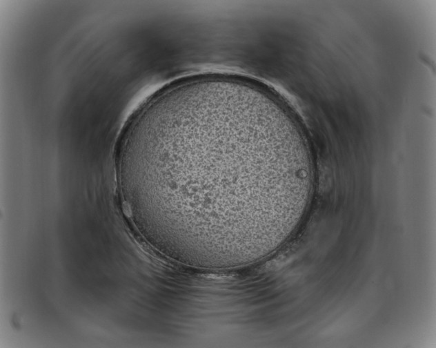 X0000097511271200803071816