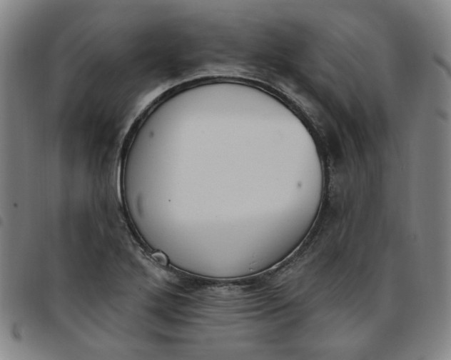 X0000097511272200803071816