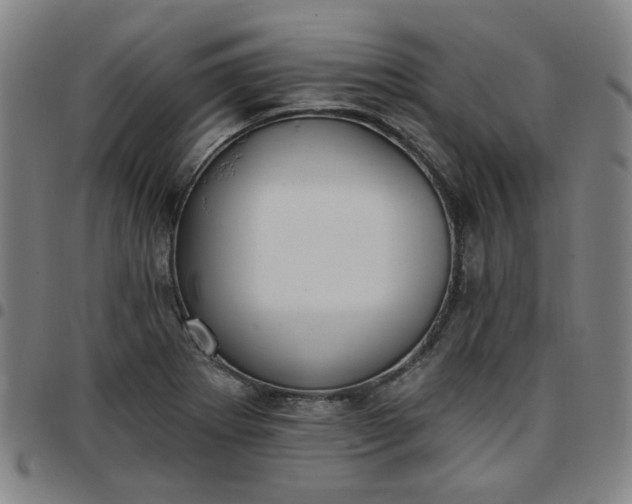 X0000097511273200803071816