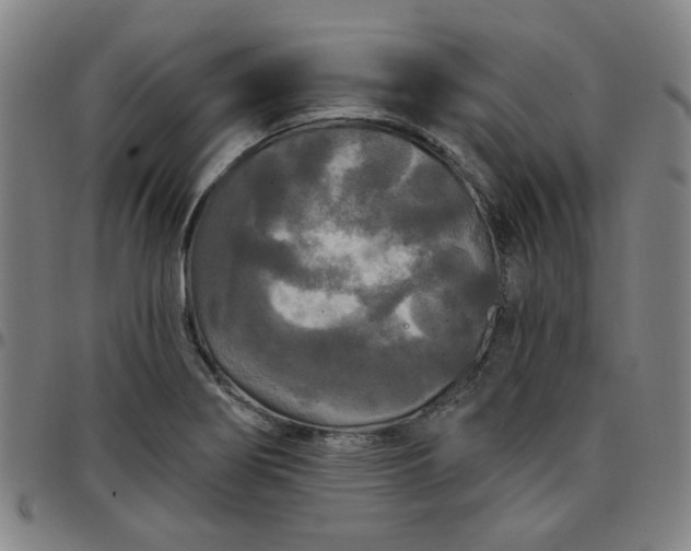 X0000097511274200803071816