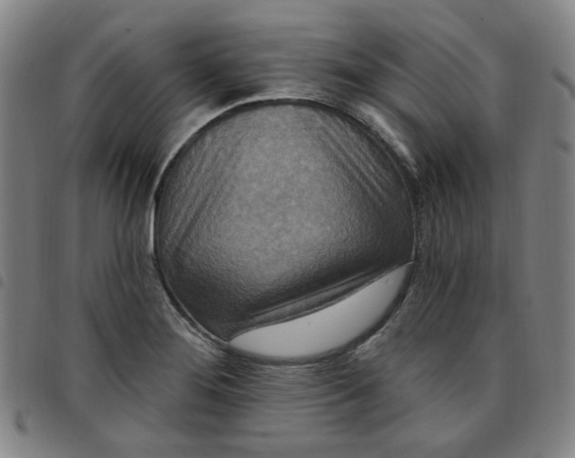 X0000097511276200803071816