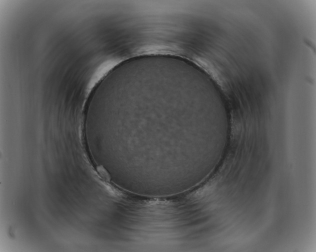 X0000097511277200803071816