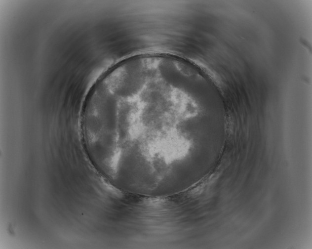 X0000097511278200803071816