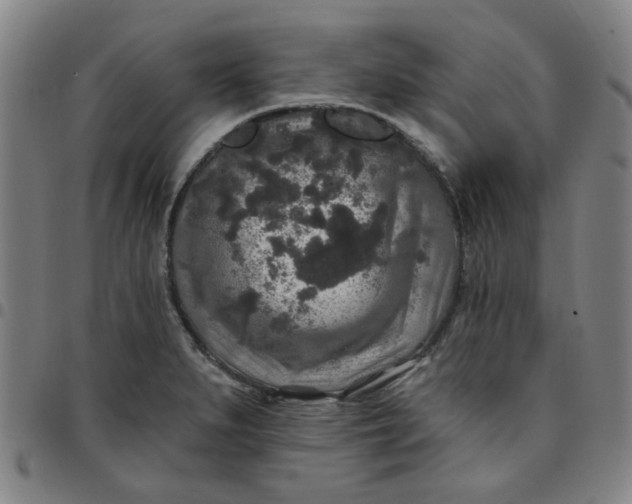 X0000097511279200803071816