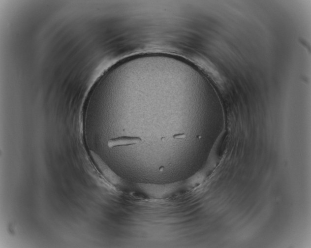 X0000097511280200803071816