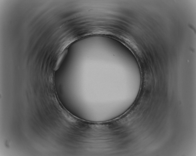 X0000097511281200803071816