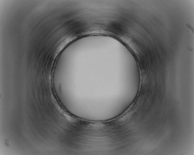 X0000097511282200803071816