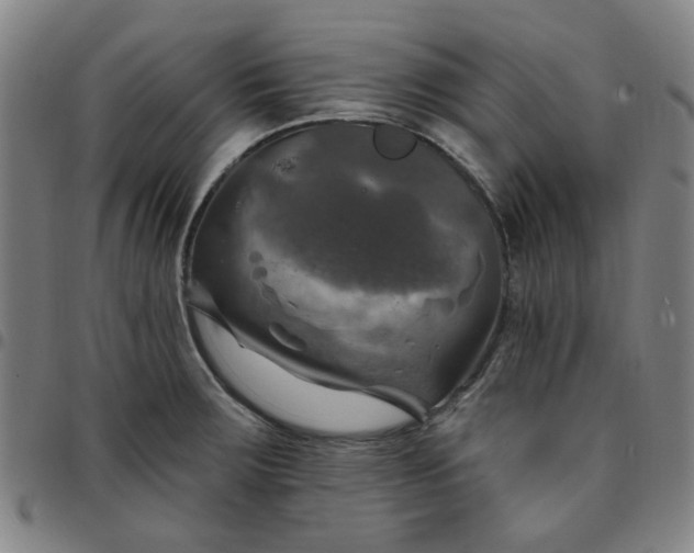 X0000097511283200803071816