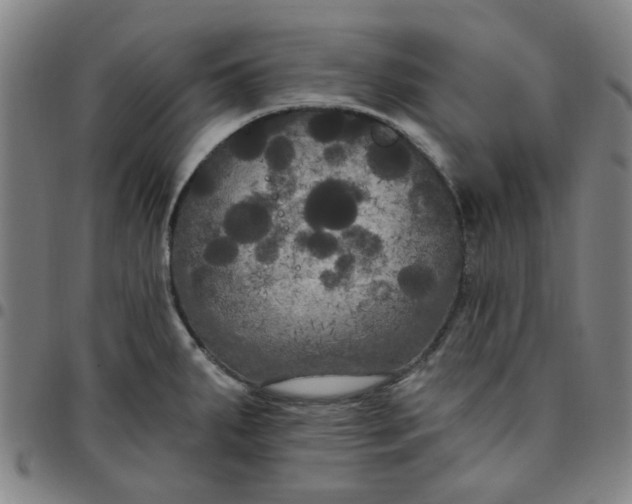 X0000097511287200803071816