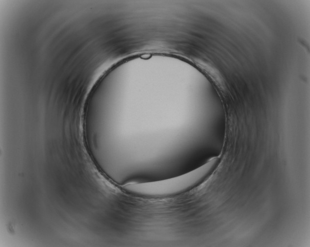 X0000097511288200803071816