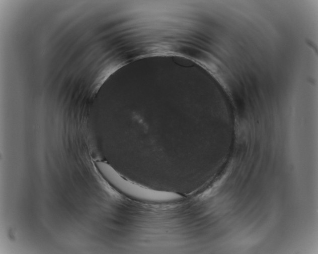 X0000097511289200803071816