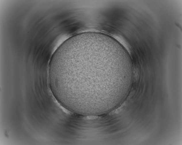 X0000097511290200803071816