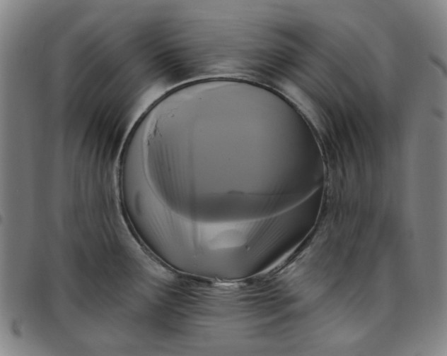 X0000097511291200803071816