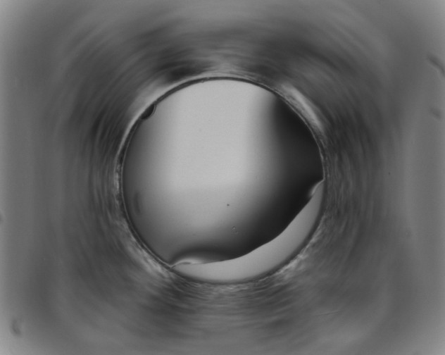 X0000097511292200803071816