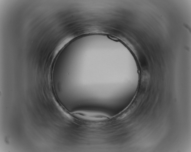 X0000097511293200803071816