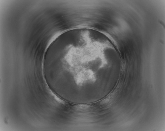 X0000097511294200803071816