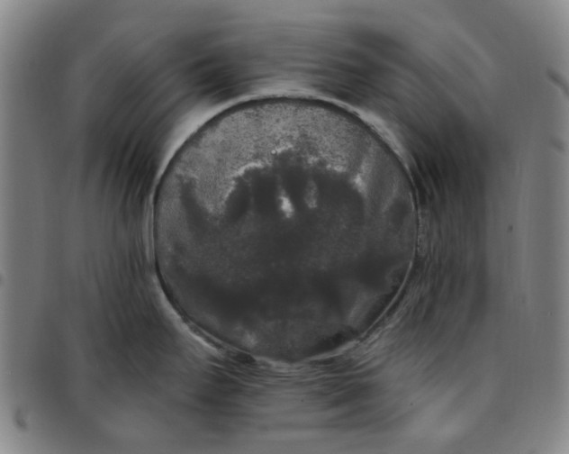 X0000097511295200803071816