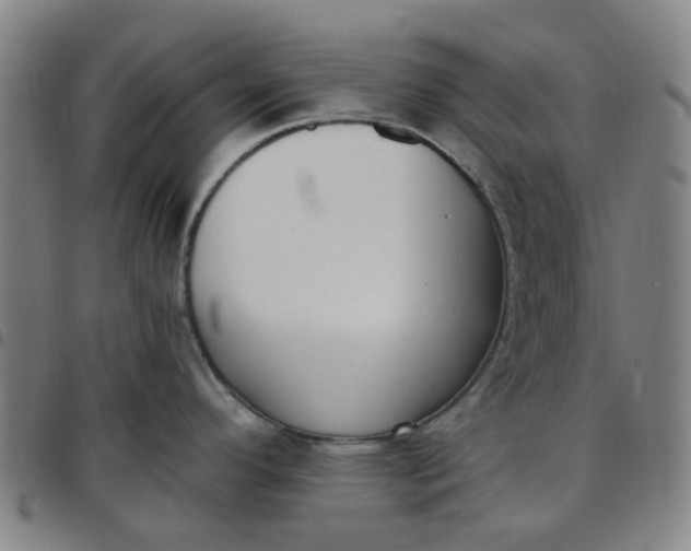 X0000097511296200803071816