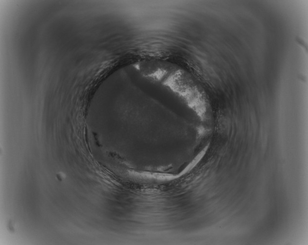 X0000097511297200803071815