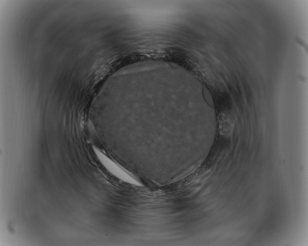 X0000097511298200803071815