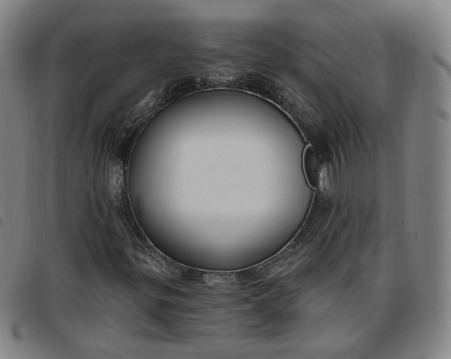 X0000097511299200803071815