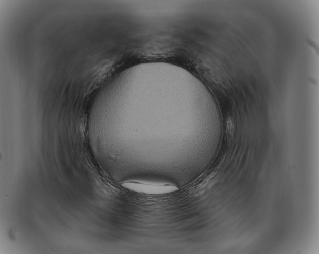 X0000097511300200803071815