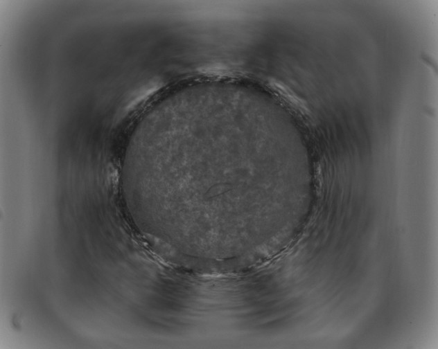 X0000097511302200803071815