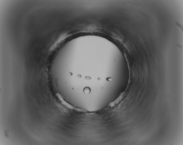 X0000097511304200803071815