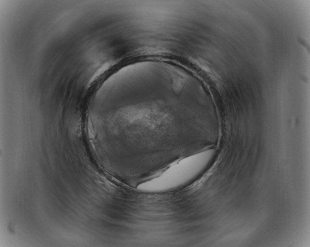 X0000097511306200803071815