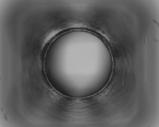 X0000097511311200803071815