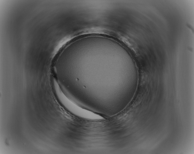 X0000097511312200803071815