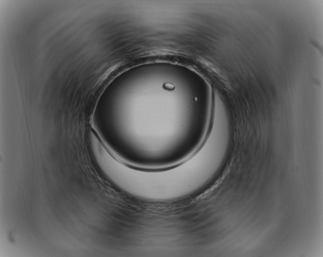 X0000097511313200803071815